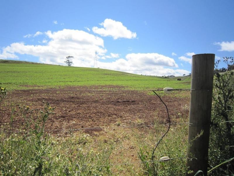 605 Castra Road, Abbotsham TAS 7315