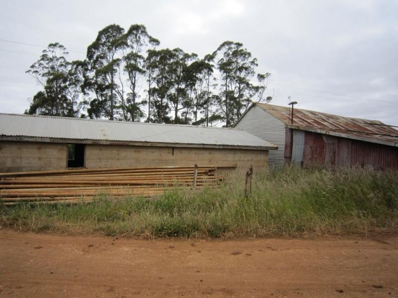 605 Castra Road, Abbotsham TAS 7315