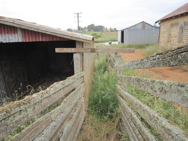 605 Castra Road, Abbotsham TAS 7315