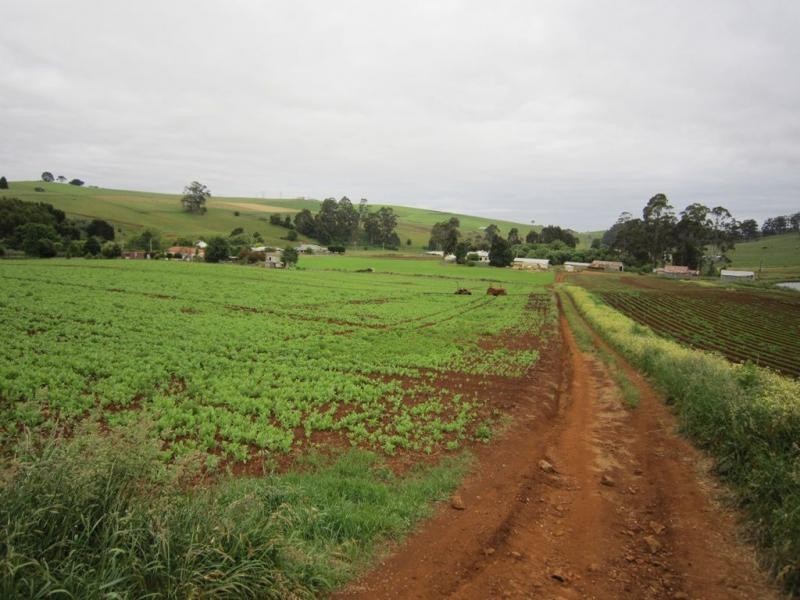 605 Castra Road, Abbotsham TAS 7315