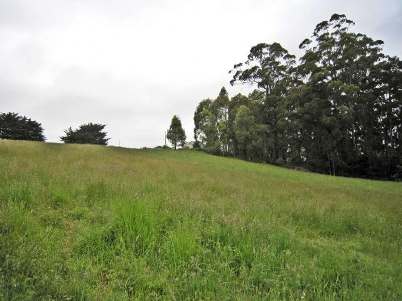 605 Castra Road, Abbotsham TAS 7315