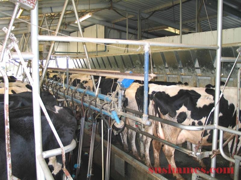 Ulverstone TAS 7315