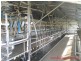 Ulverstone TAS 7315