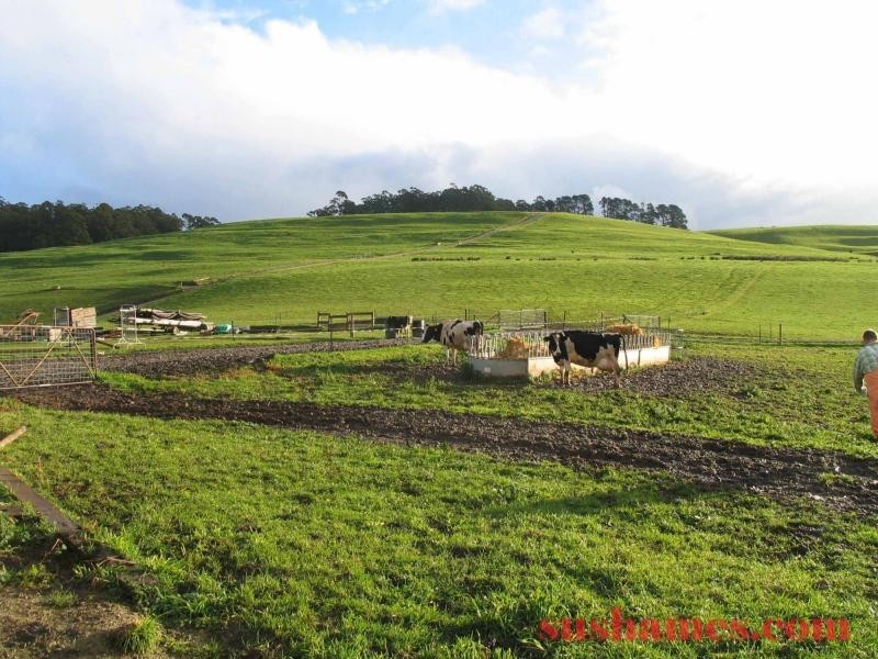 Ulverstone TAS 7315