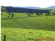 Ulverstone TAS 7315