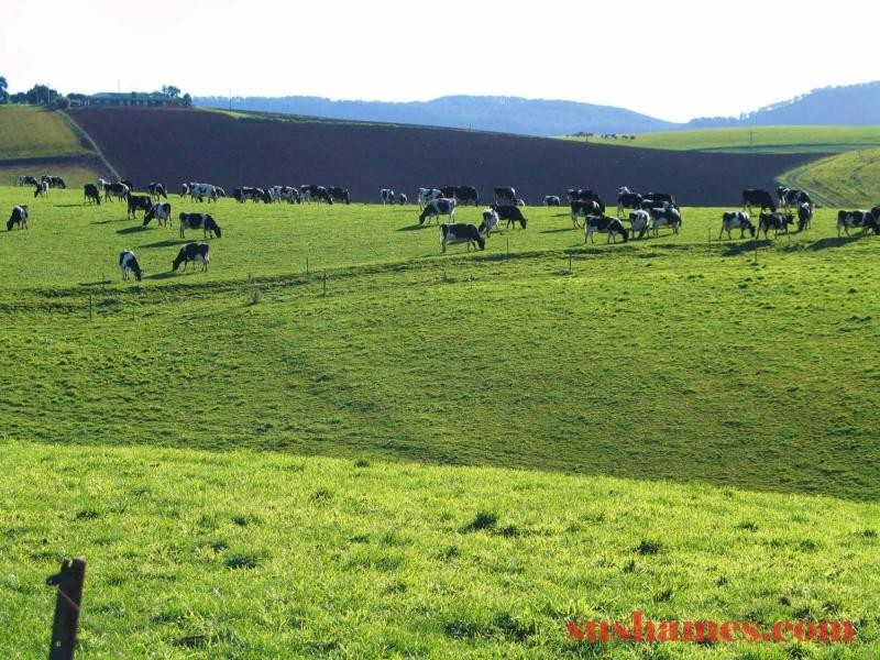 Ulverstone TAS 7315
