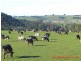Ulverstone TAS 7315