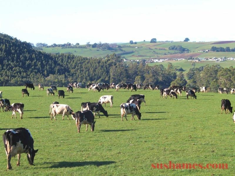 Ulverstone TAS 7315