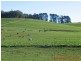 Ulverstone TAS 7315