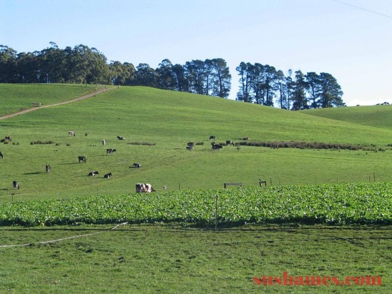 Ulverstone TAS 7315