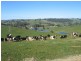Ulverstone TAS 7315