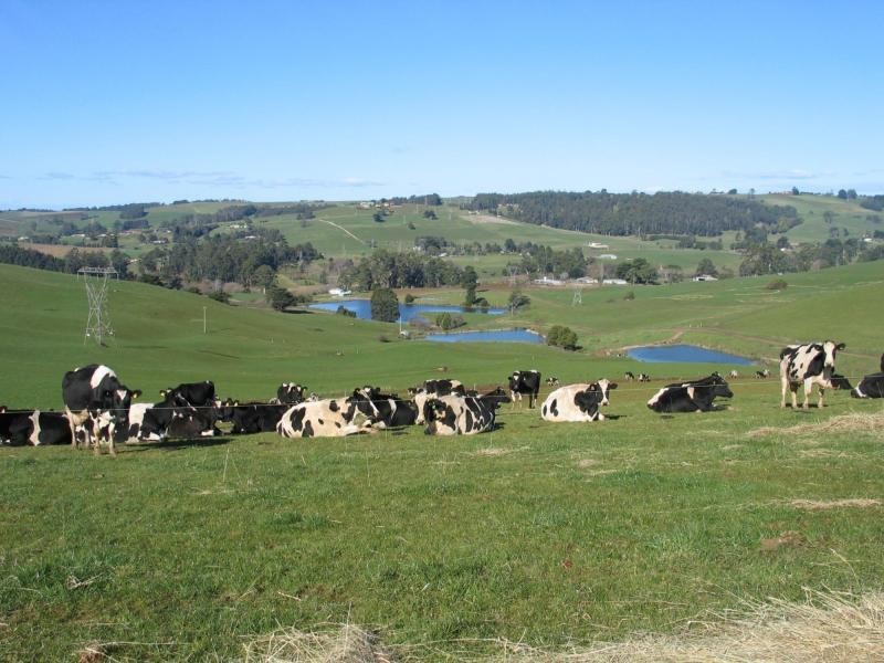 Ulverstone TAS 7315