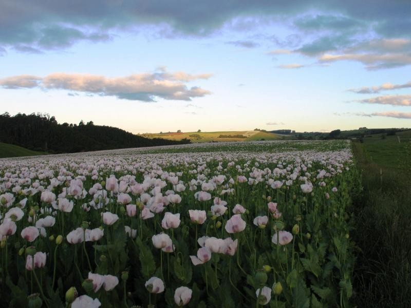 Ulverstone TAS 7315