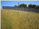 23 Kelvin Street, Penguin TAS 7316