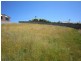 23 Kelvin Street, Penguin TAS 7316