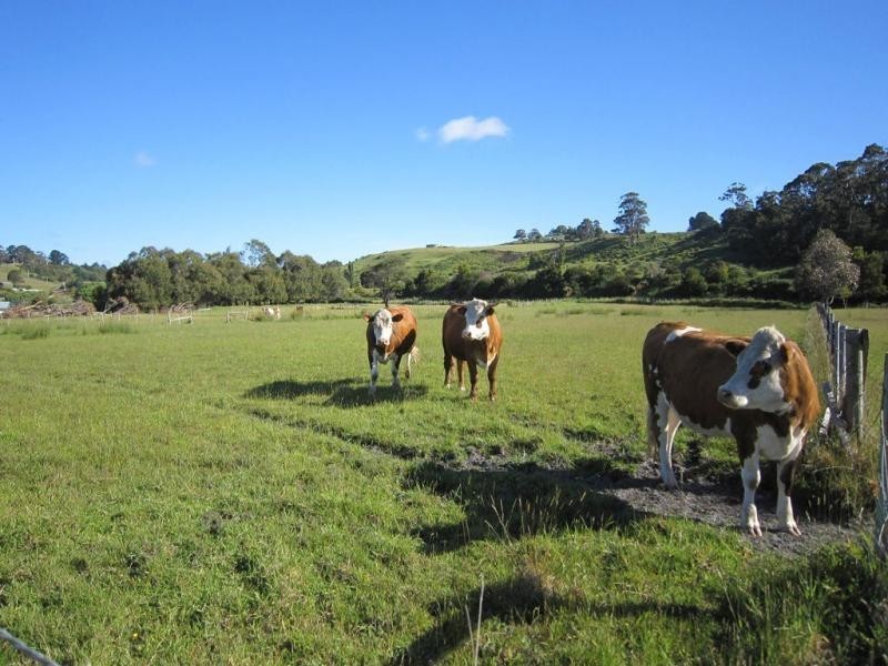 L2 290 Preservation Drive, Sulphur Creek TAS 7316