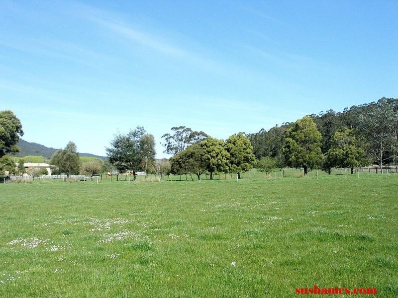 Merseylea TAS 7305