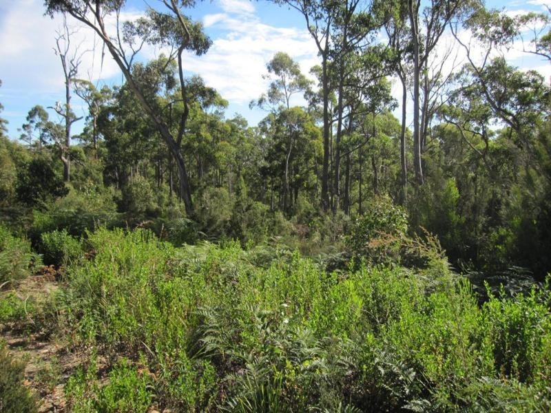 L10 Forest Heights Drive, Forest Heights Estate, Devonport TAS 7310