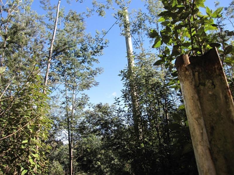 131 James Road, Acacia Hills TAS 7306