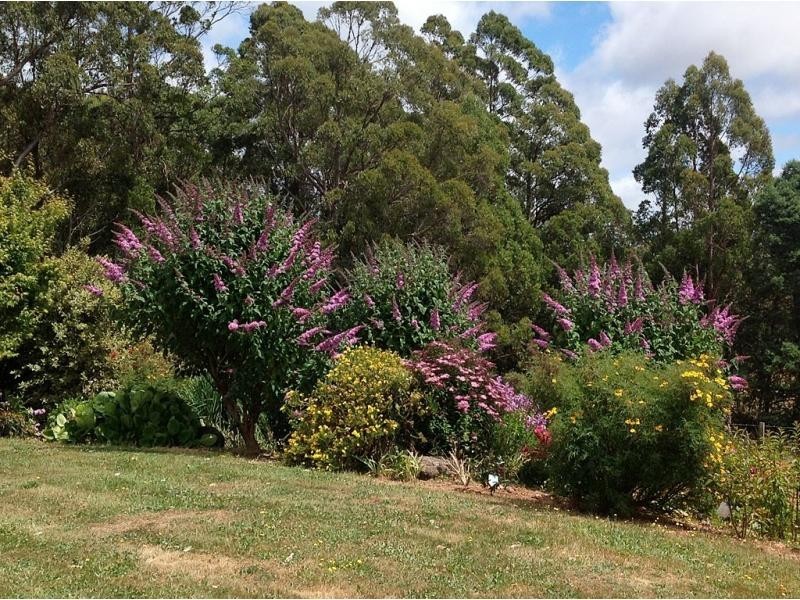 Promised Land TAS 7306