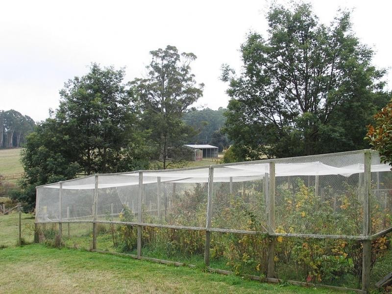 Promised Land TAS 7306