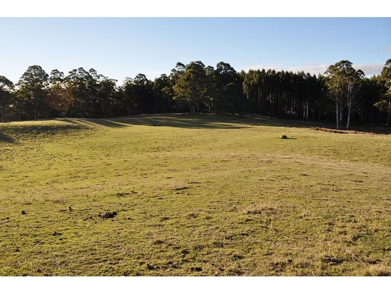 Promised Land TAS 7306