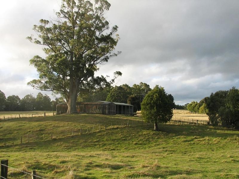 Promised Land TAS 7306