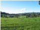 651 Claude Road, Sheffield TAS 7306