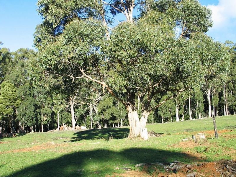 651 Claude Road, Sheffield TAS 7306