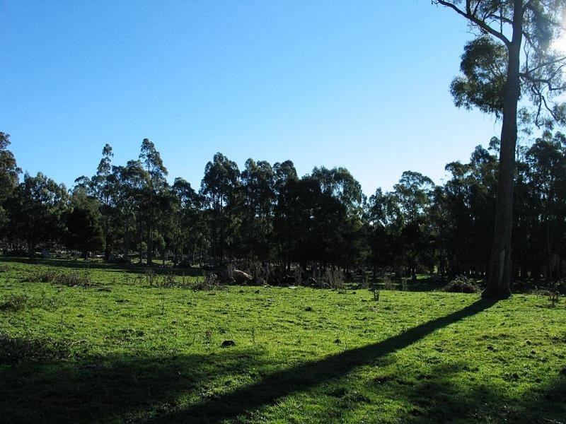 651 Claude Road, Sheffield TAS 7306