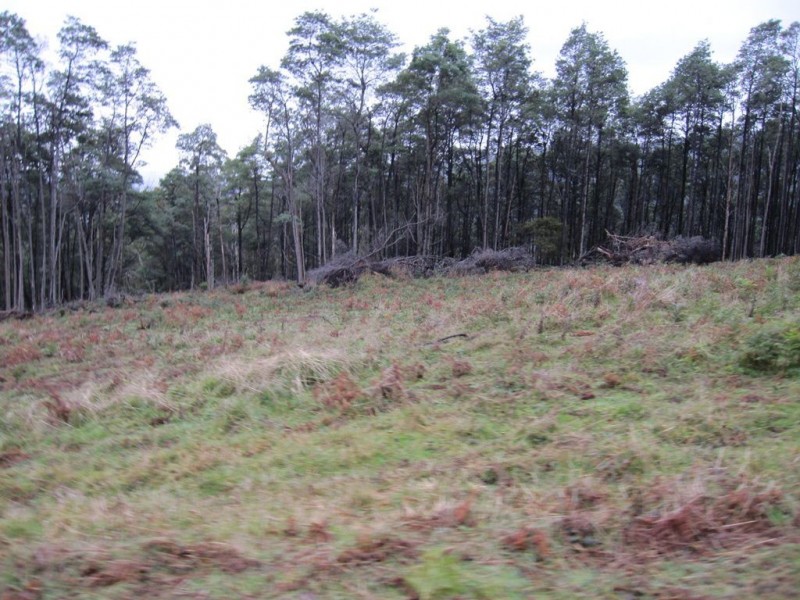 1 Nook Road, Nook TAS 7306