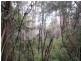 1 Nook Road, Nook TAS 7306