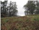 1 Nook Road, Nook TAS 7306