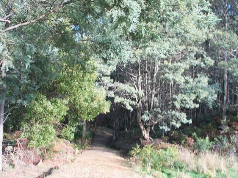 Lower Barrington TAS 7306
