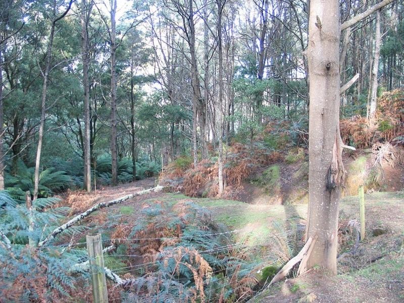 Lower Barrington TAS 7306