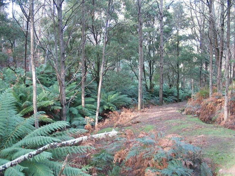 Lower Barrington TAS 7306