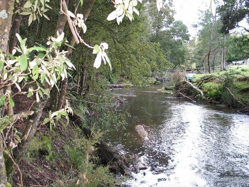 Lower Barrington TAS 7306