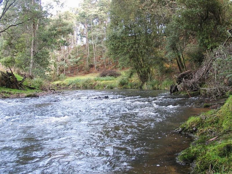 Lower Barrington TAS 7306