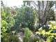 67 Don Road, Devonport TAS 7310