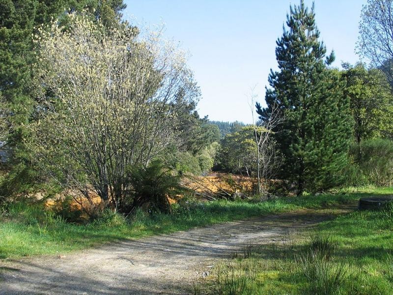 13-13A Austin Street, Queenstown TAS 7467