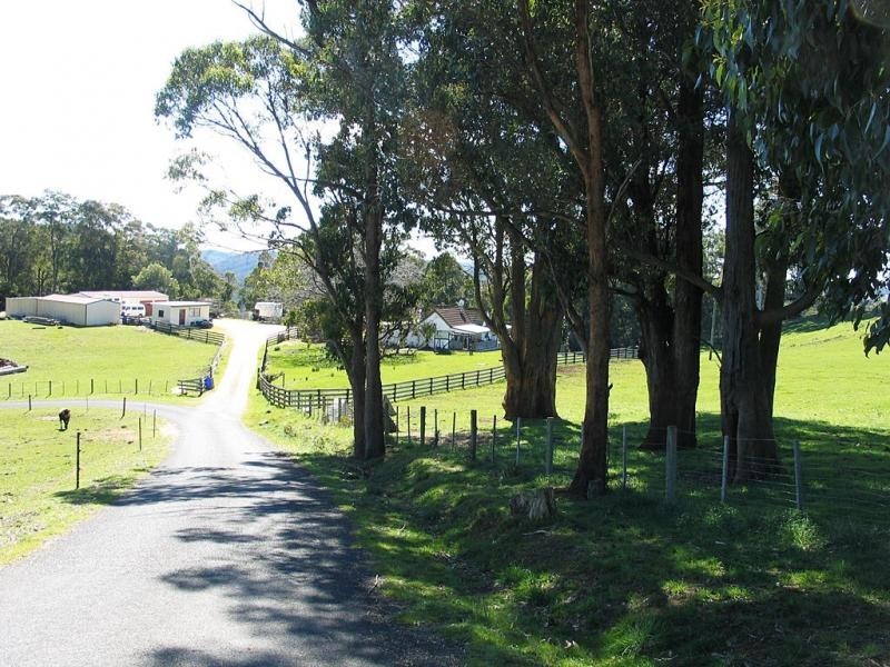 Barrington TAS 7306