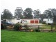 Barrington TAS 7306
