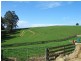 Barrington TAS 7306
