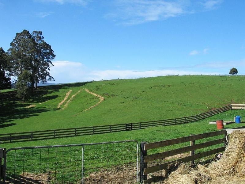 Barrington TAS 7306