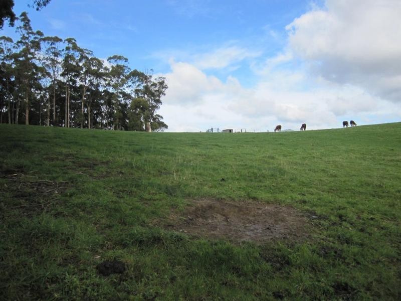 385 South Road, West Ulverstone TAS 7315