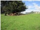 385 South Road, West Ulverstone TAS 7315