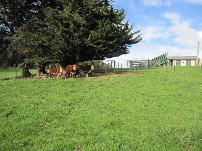 385 South Road, West Ulverstone TAS 7315