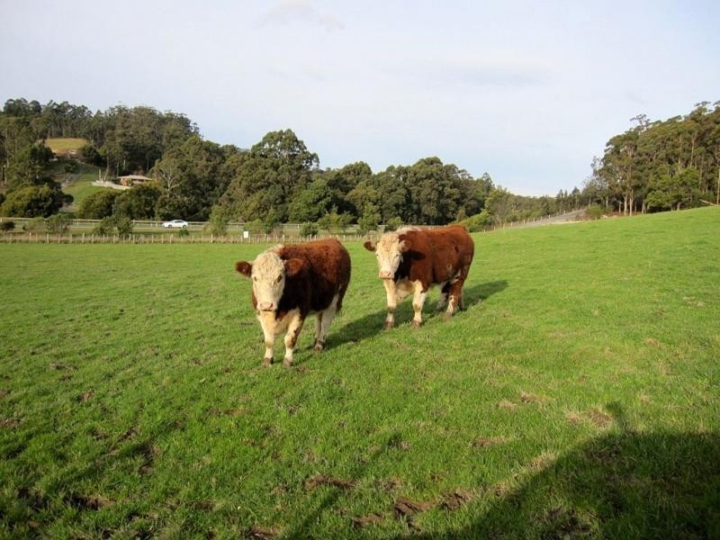 385 South Road, West Ulverstone TAS 7315