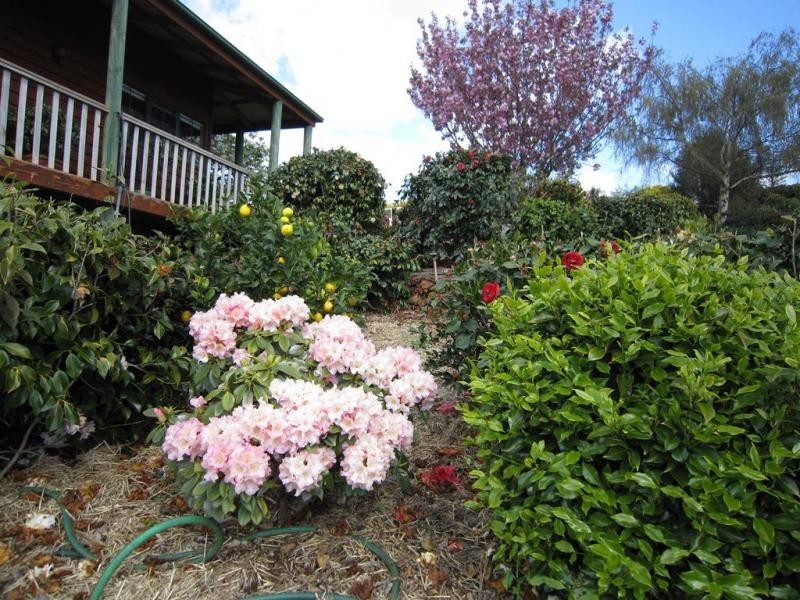 45 Chuggs Road, Forth TAS 7310