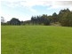 1816 Wilmot Road, Lower Wilmot TAS 7310